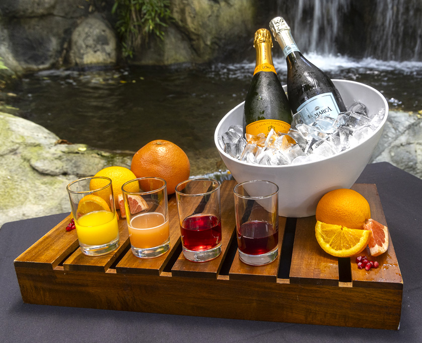 Juice flight with fresh fruit and champagne on ice set at table overlooking a waterfall