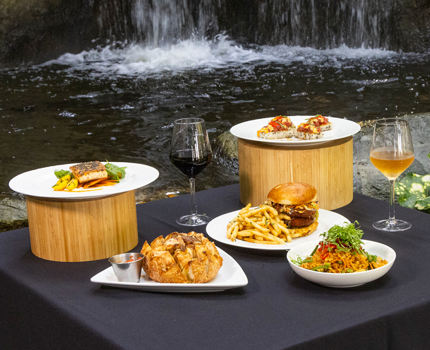 Dinner table containing salmon, hamburger, appetizers, and wine overlooking a waterfall
