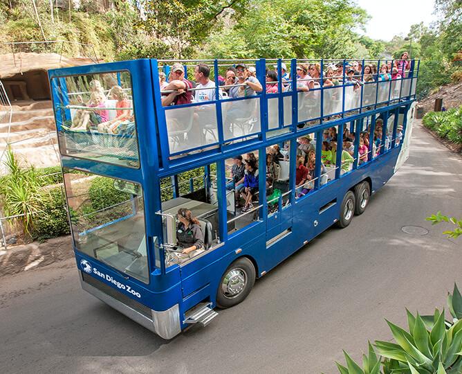Guided Bus Tour