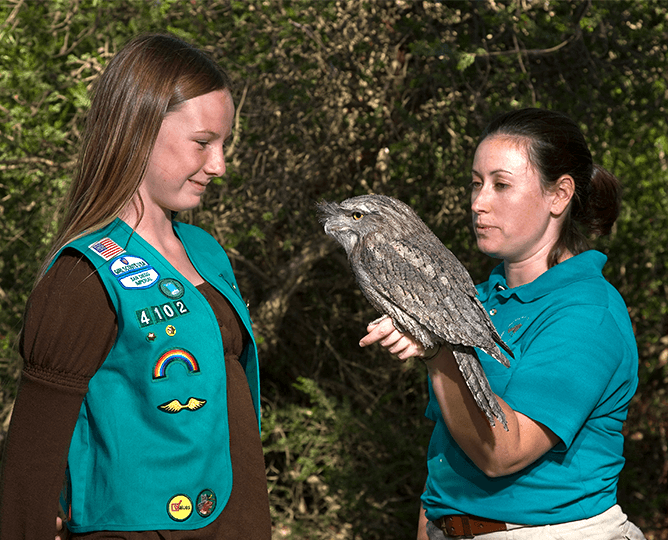Girl scout looks at an owl held by a care specialist. 
