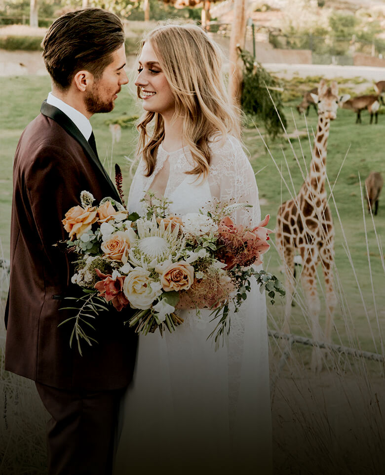 Groom and bride embracing as a giraffe looks on in the distance.