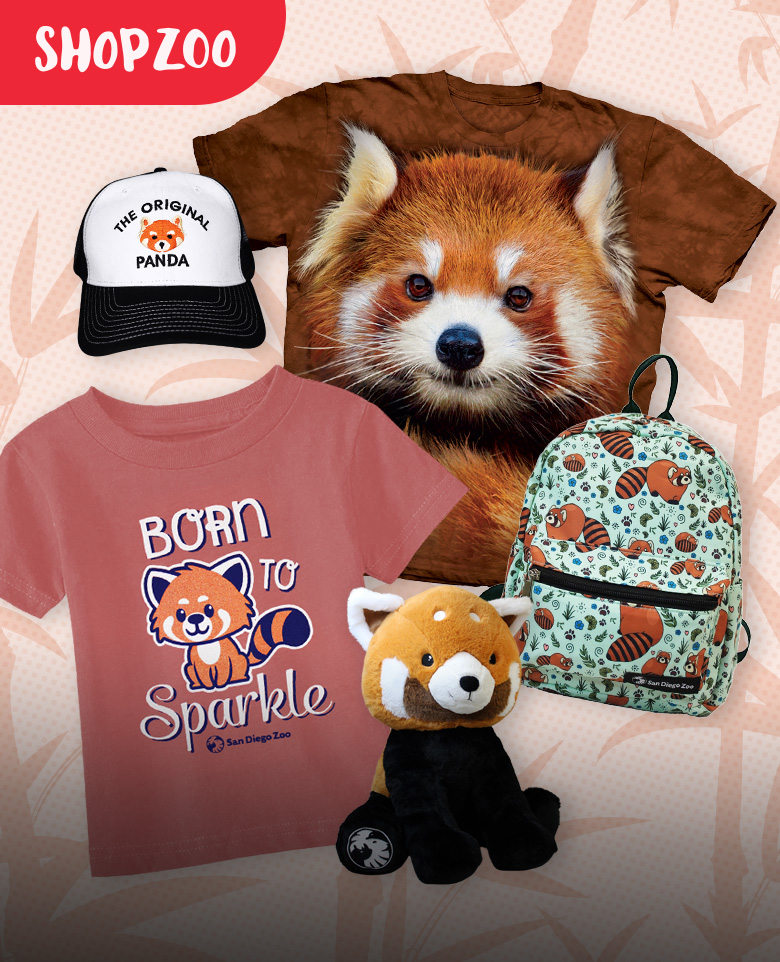 ShopZoo red panda collection
