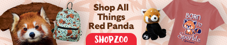 ShopZoo Red Panda banner ad