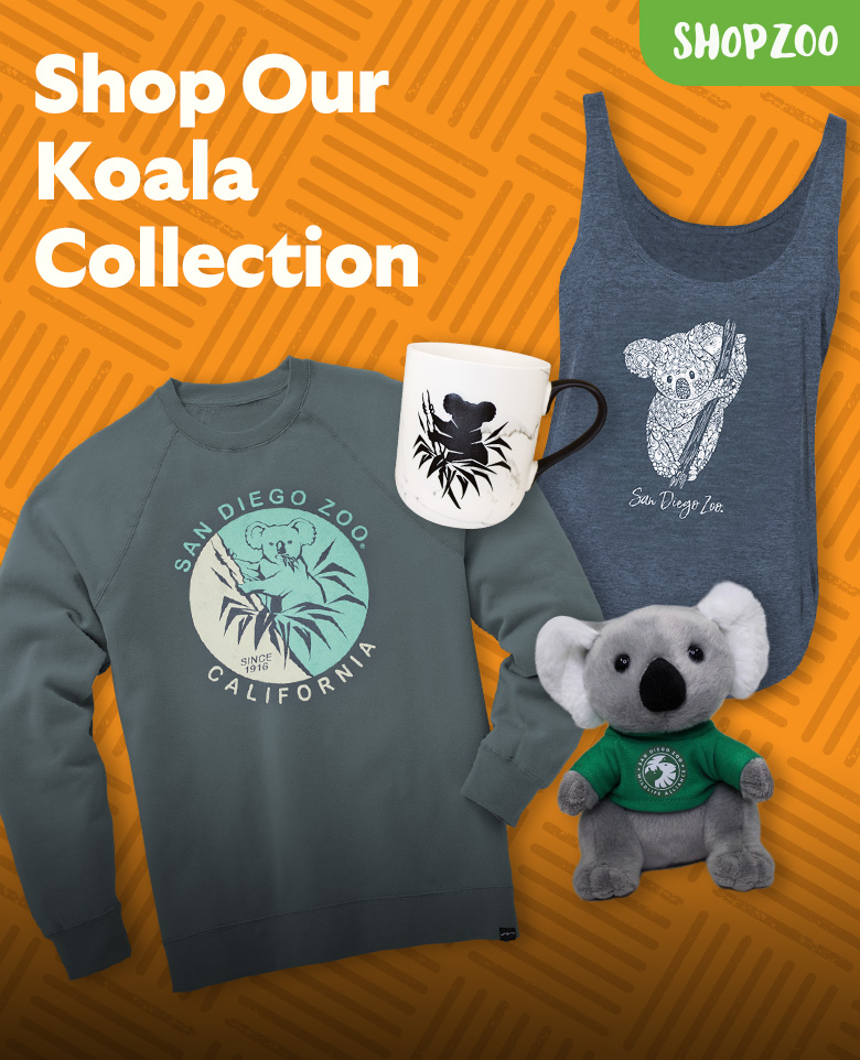 Koala ShopZoo collection