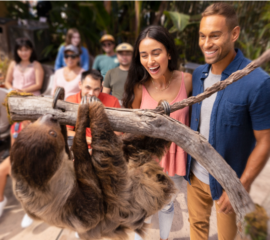 guests with a sloth