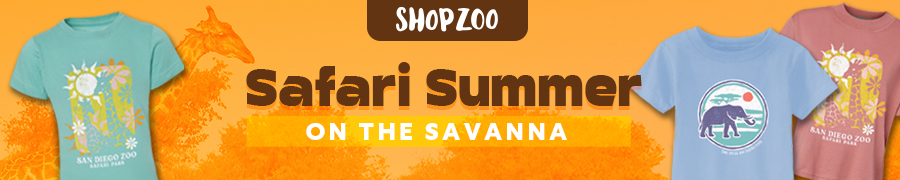ShopZoo Safari Summer on the Savanna