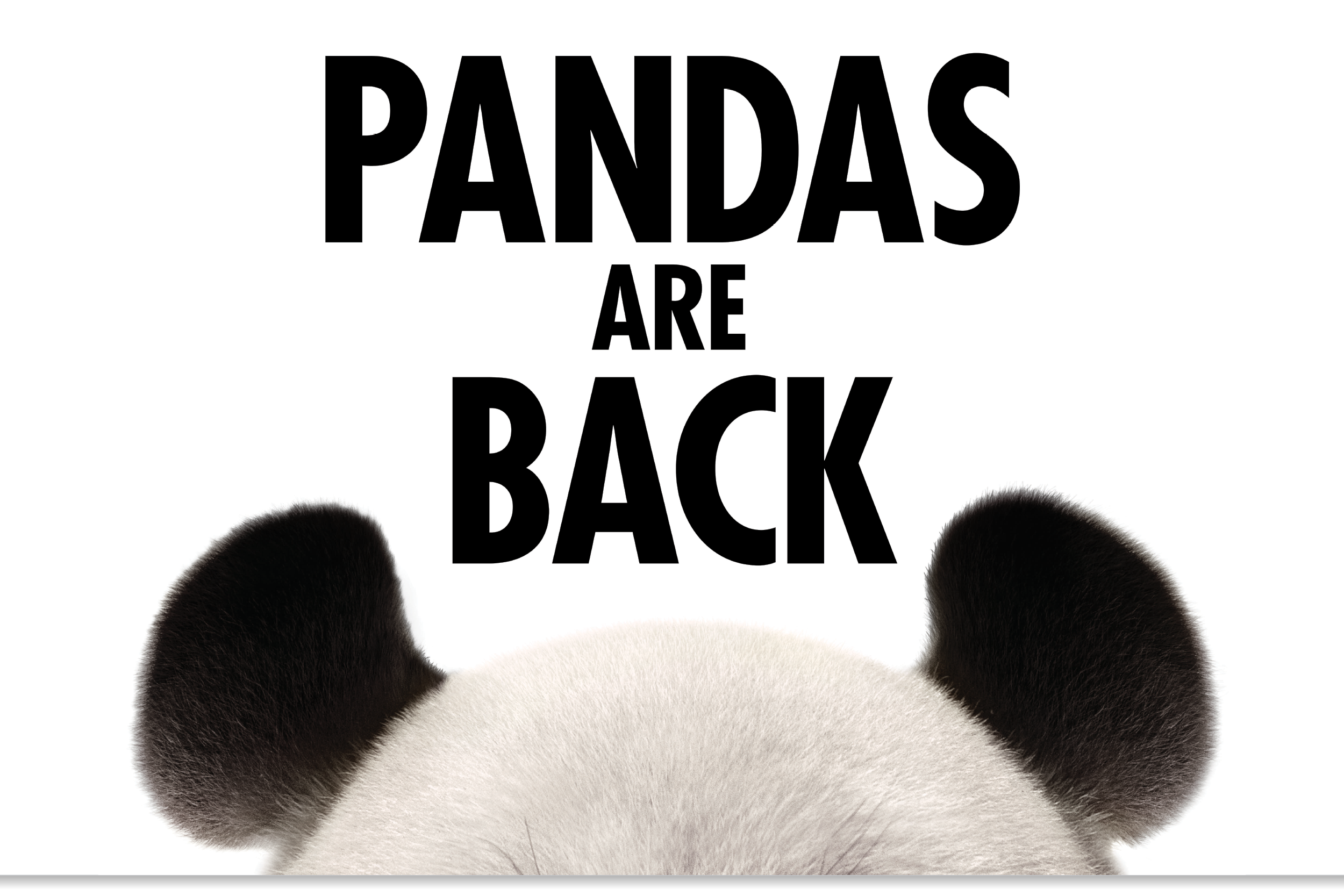 Pandas Are Back