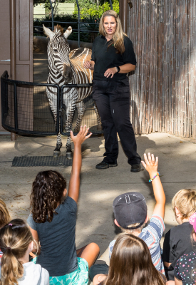 wildlife ambassador show