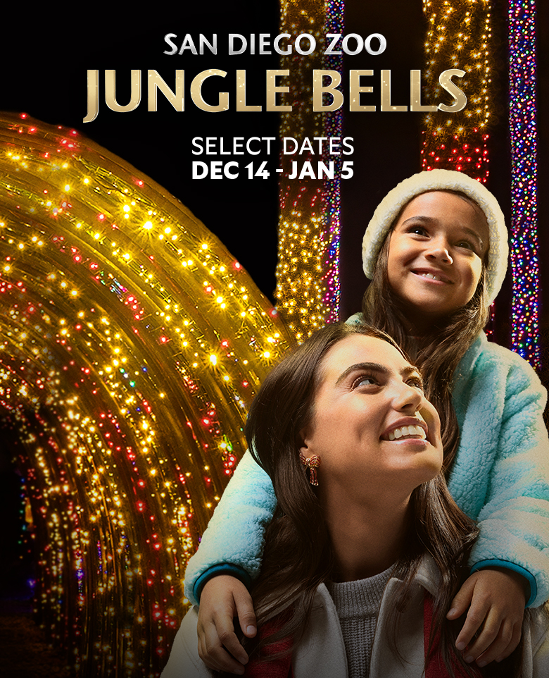 Jungle bells 2024