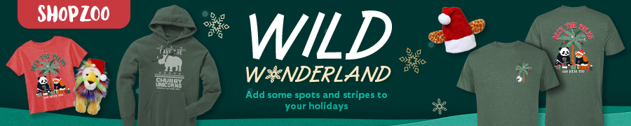 Shopzoo Wild Wonderland holidays