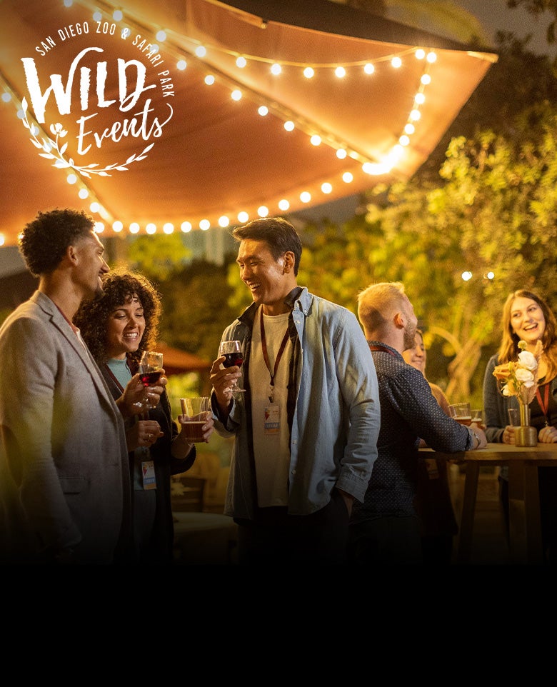 WILD Events San Diego Zoo & Safari Park