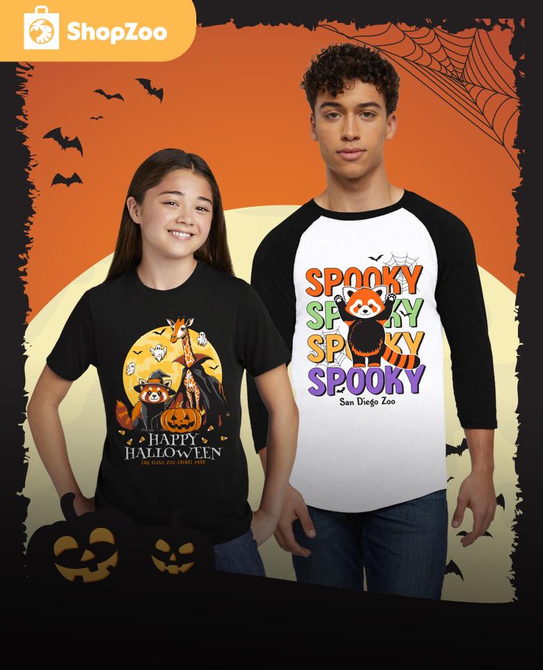 ShopZoo - Boy and girl wearing Spooky Halloween clothing