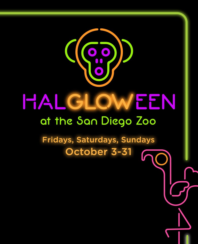 HALGLOWEEN at the San Diego Zoo Fridays, Saturdays, Sundays, October 3-31