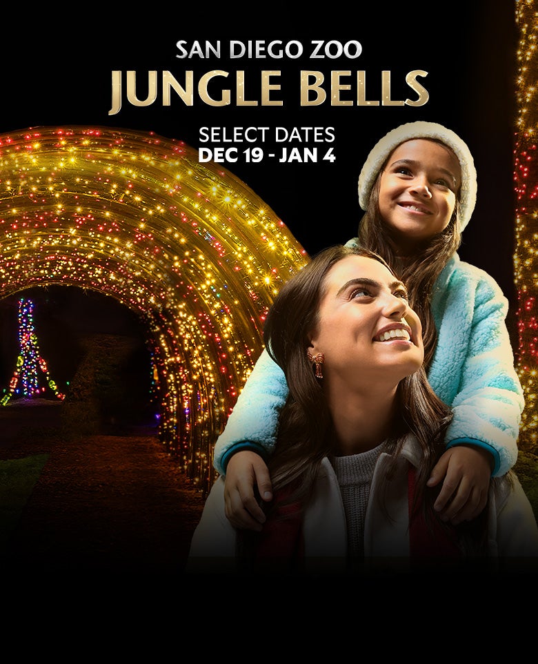 San Diego Zoo, JUNGLE BELLS, Select Dates December 19th to January 4th