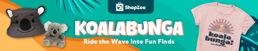 Shopzoo Koalabunga Ride the Wave Into Fun Finds Shop Now