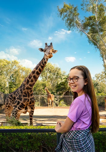 girl and giraffe