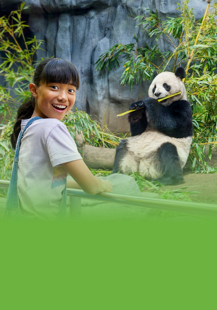 girl and giant panda