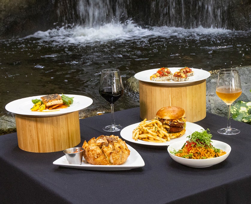 Dinner table containing salmon, hamburger, appetizers, and wine overlooking a waterfall