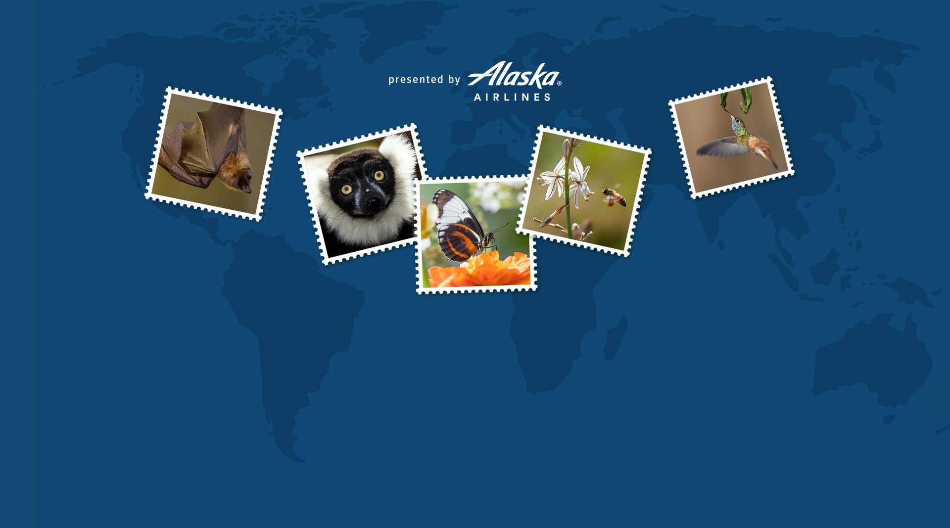 Powerful Pollinators sweepstakes