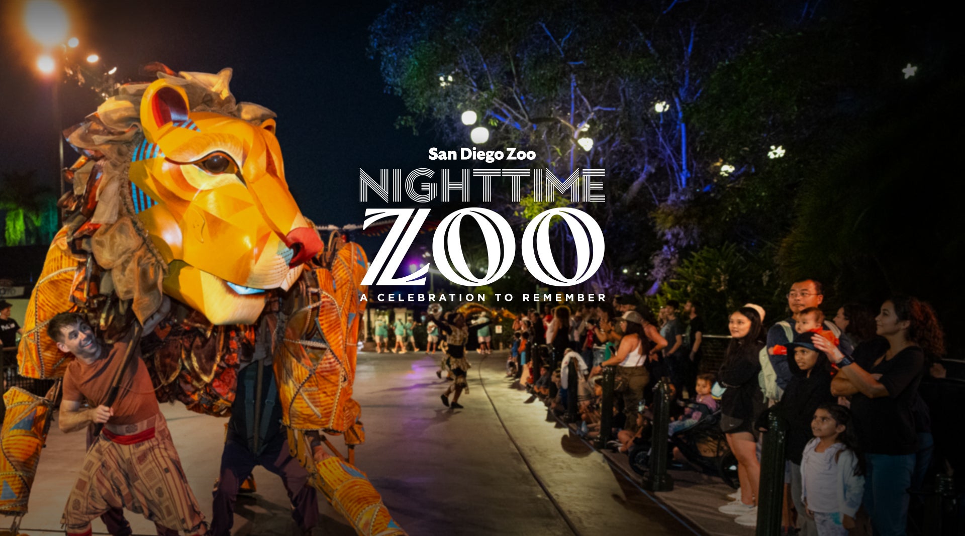 San diego zoo nighttime zoo a celebration to remember
