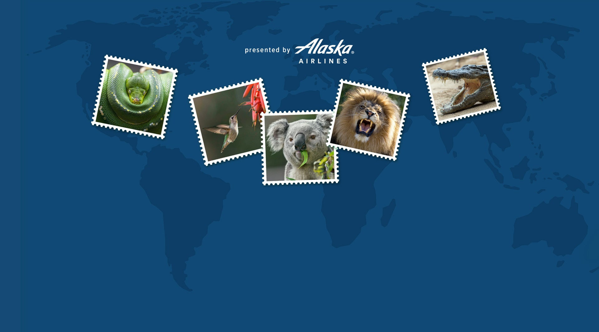 Animals That Feast Together Sweepstakes