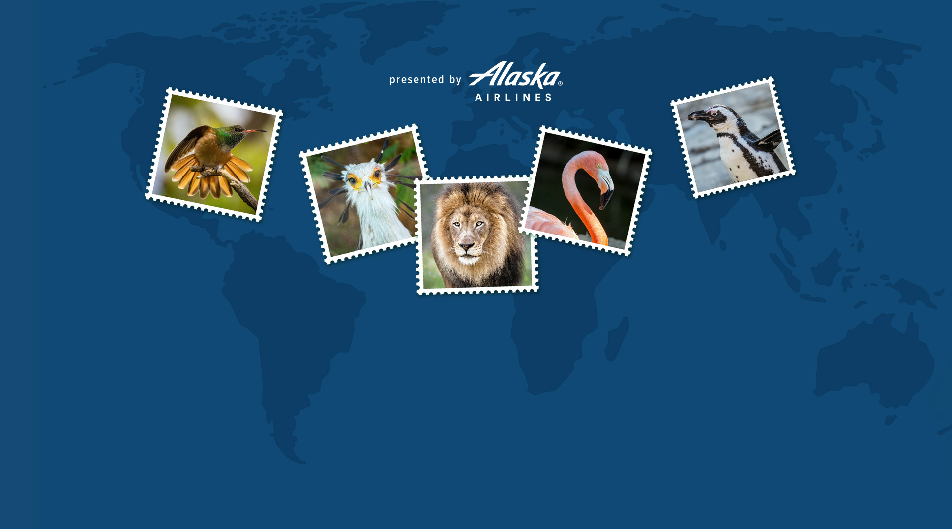 Alaska Airlines Sweepstakes: Fashion-Forward Fauna