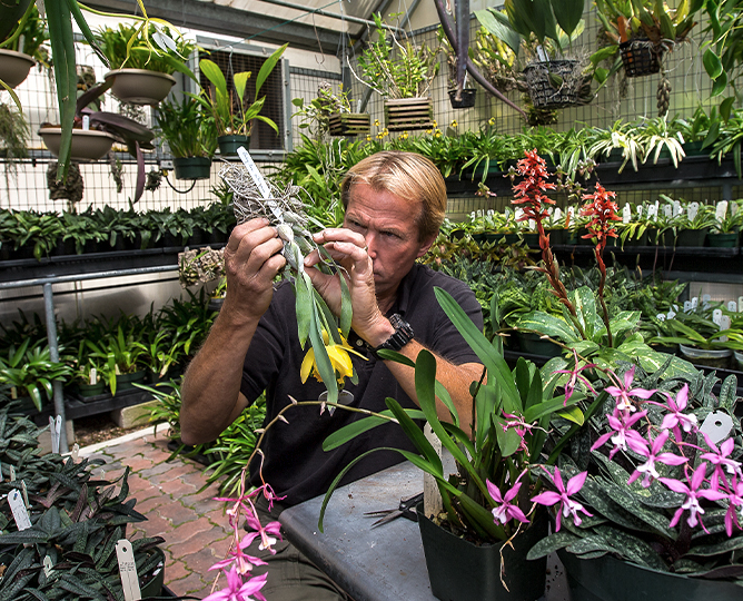 photo of a person surrounded by plants, closely examining a plant