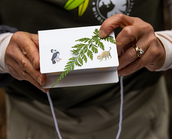 person holding a card where they are collaging leaves and animal stickers