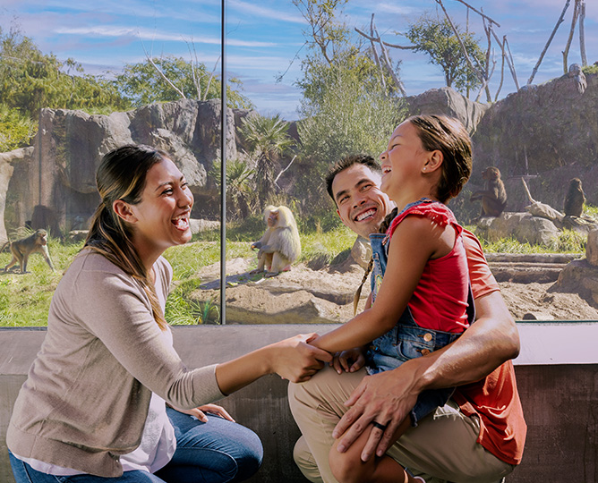 Family with young child posing in front of Africa Rocks habitat