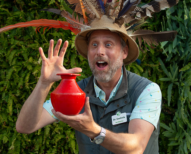 Dr Zoolittle wears a safari hat with long feathers stuck in it and is exclaiming over a bright red vase in his hand