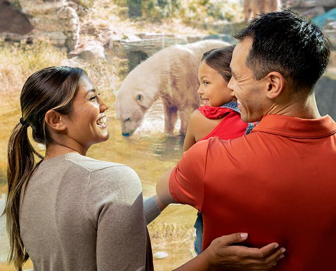 A couple holding a toddler looking at the polar bear habitat