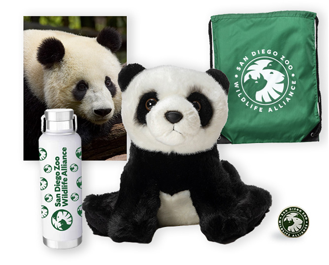 Panda adoption package