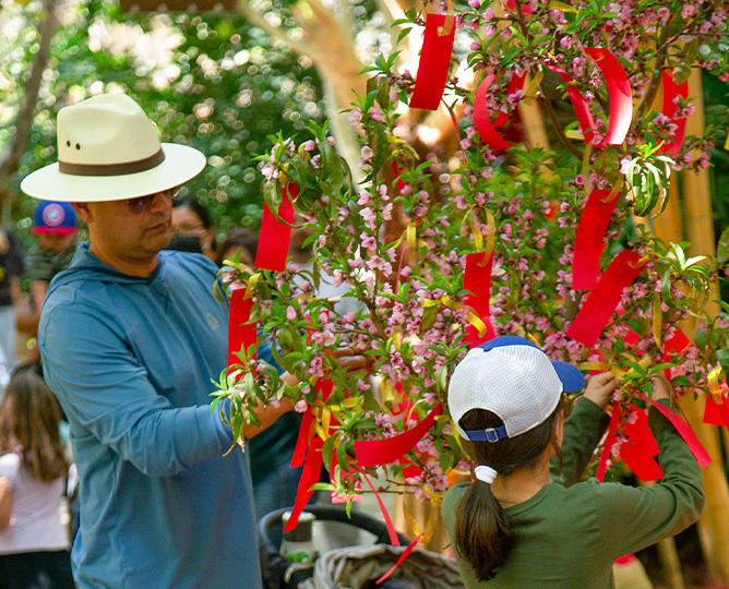 People hanging wishes on tree