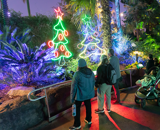 Holiday Light Celebration