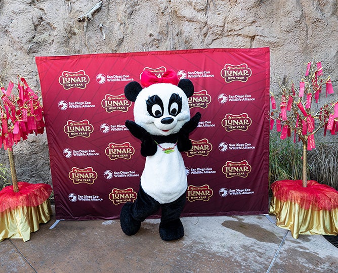 Smiling panda mascot