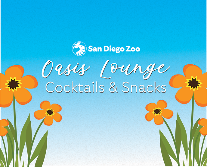 Oasis Lounge Cocktails & Snacks