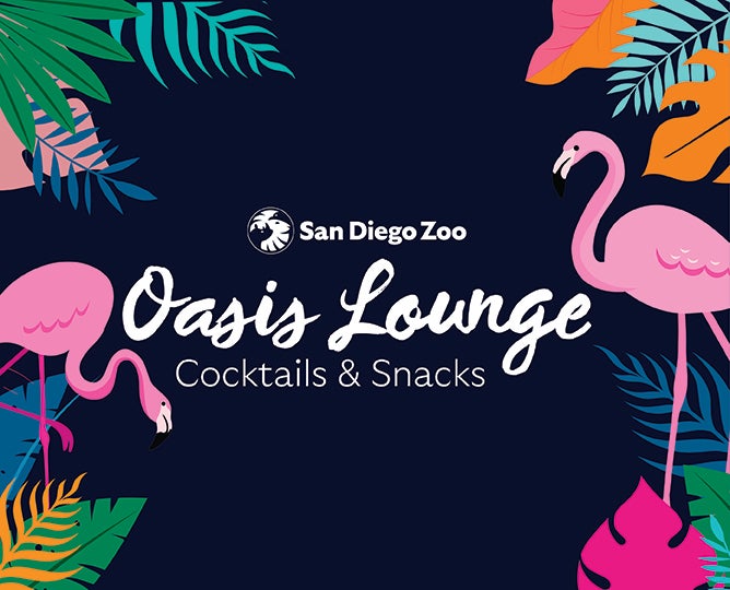 Oasis Lounge Cocktails & Snacks