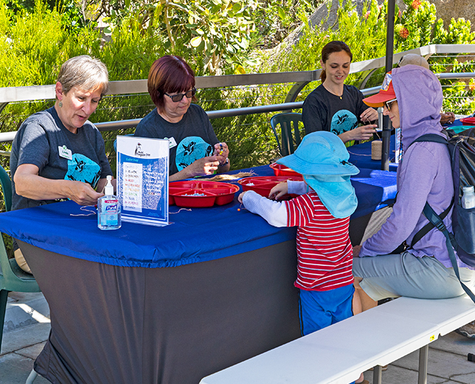 group of visitors and volunteers enjoying a craft a the San Diego Zoo