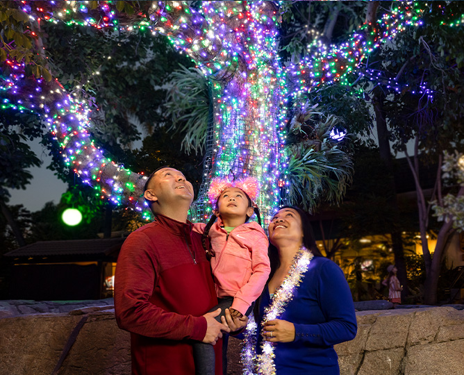 Family under holiday lights