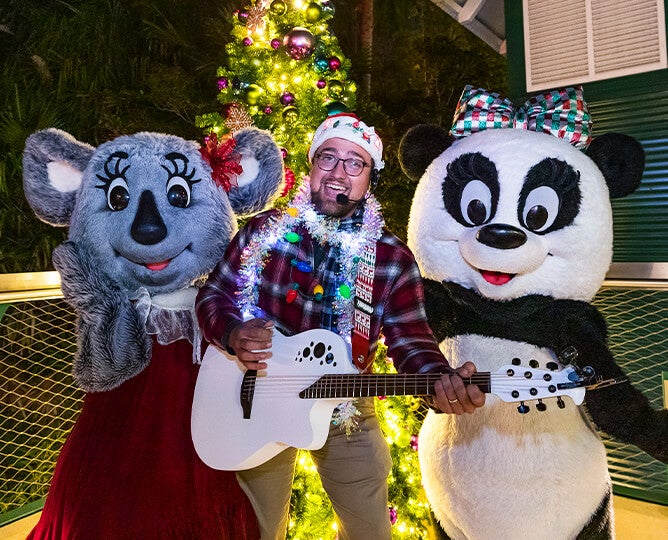 Guitarist with festive songs