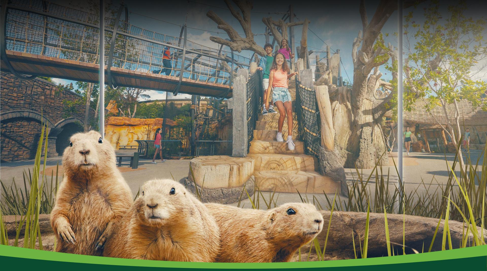 Wildlife explorers basecamp