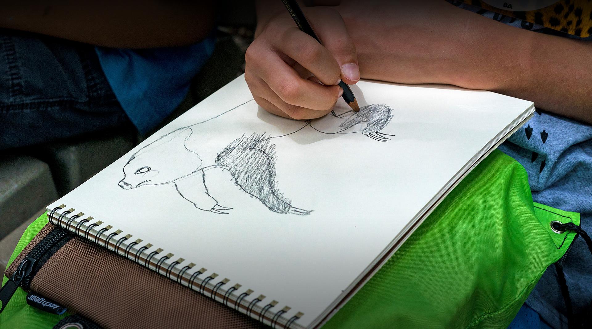 child drawing a sloth