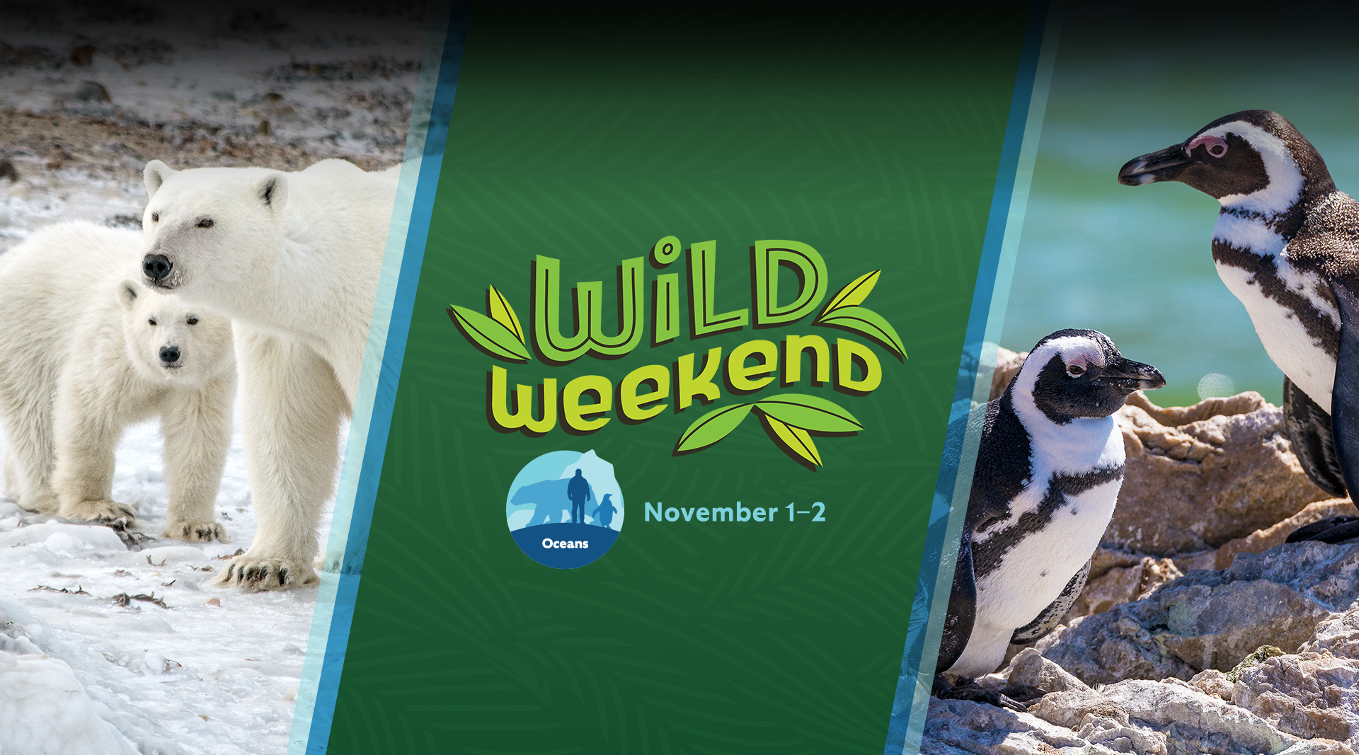Wild Weekend November 1-2 Oceans Photo of polar bears, penguins, and Wild Weekend logo
