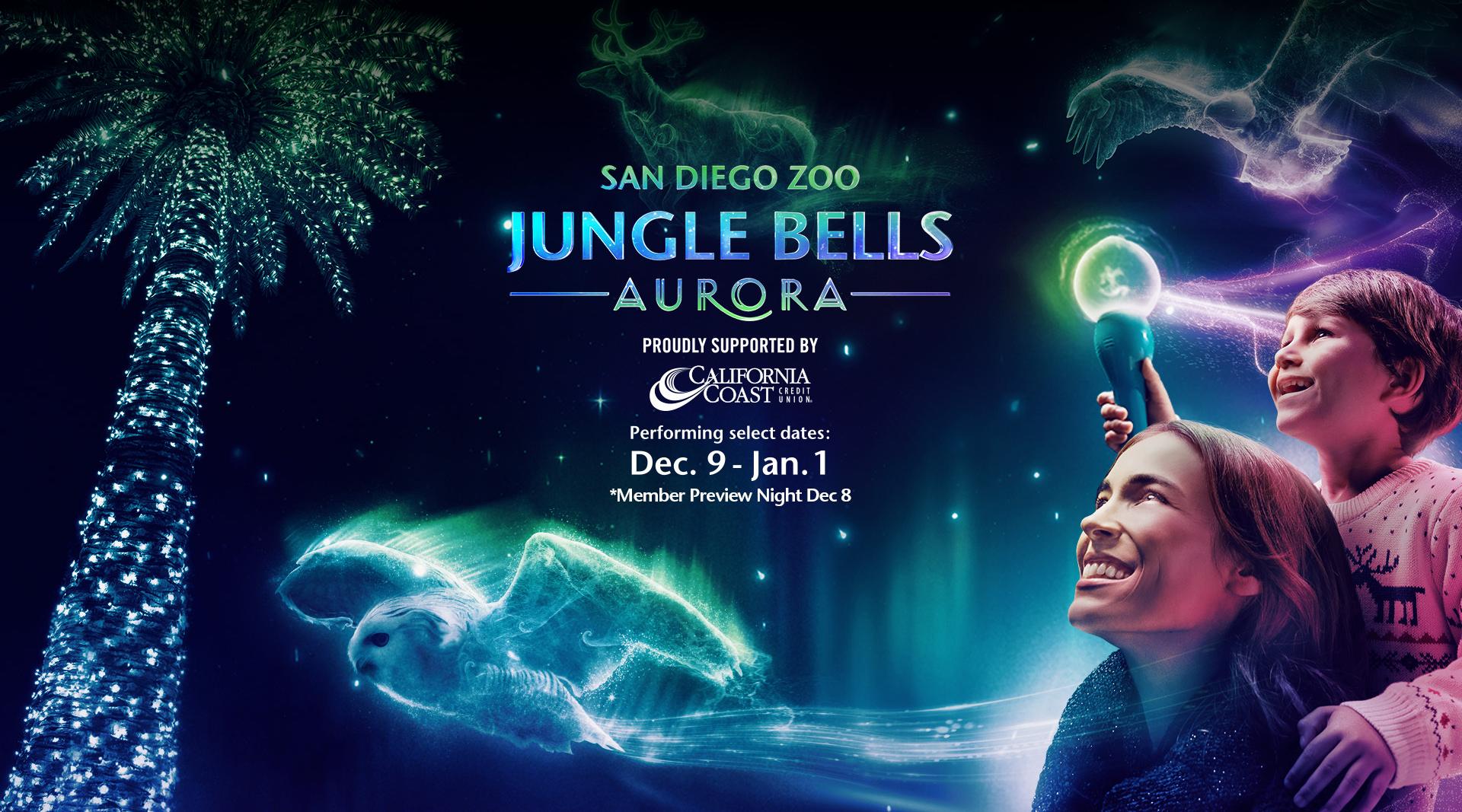 Jungle bells 2024