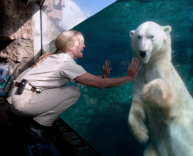 Wildlife care specialist and polar bear