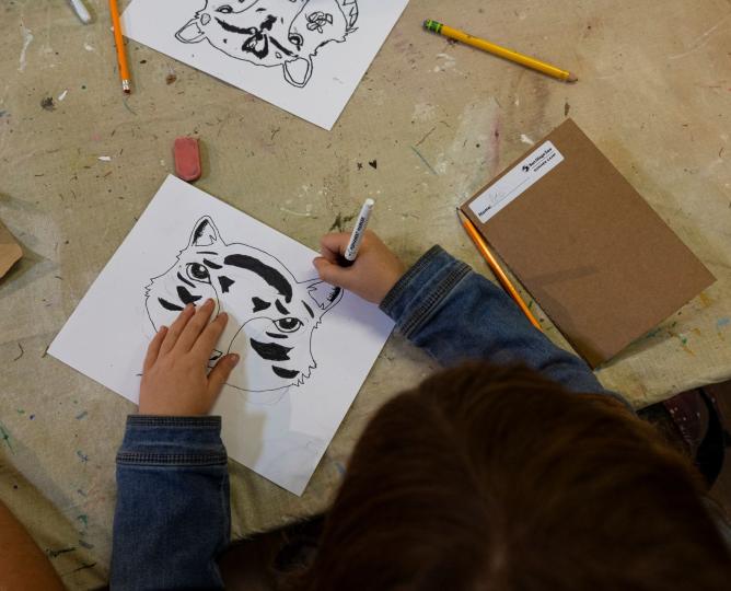 student drawing a tiger