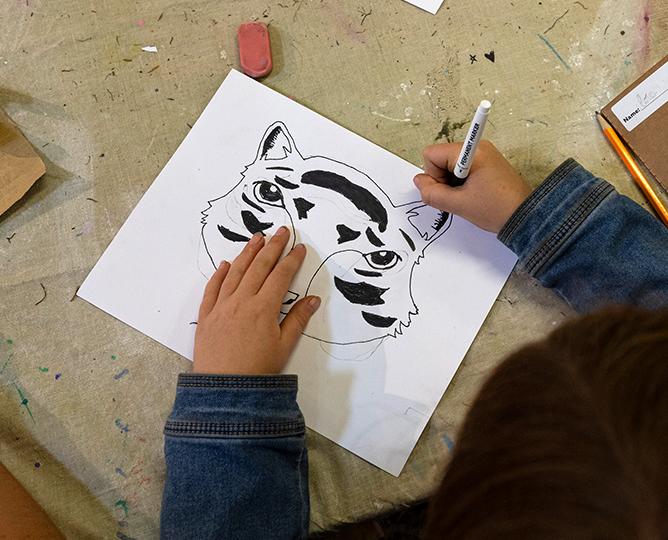student drawing a tiger