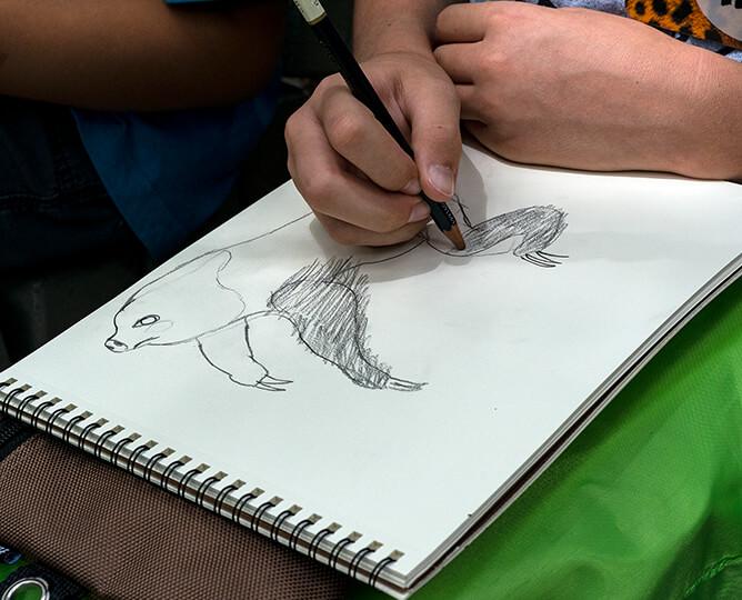 Sketching a sloth
