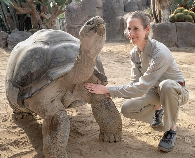 Wildlife Care Specialist with Tortoise