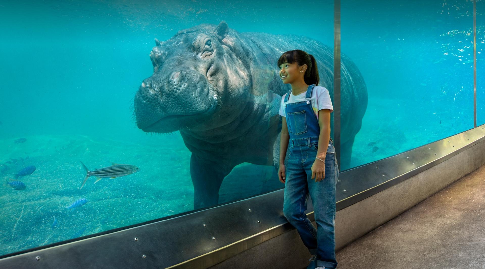 Girl and Hippo